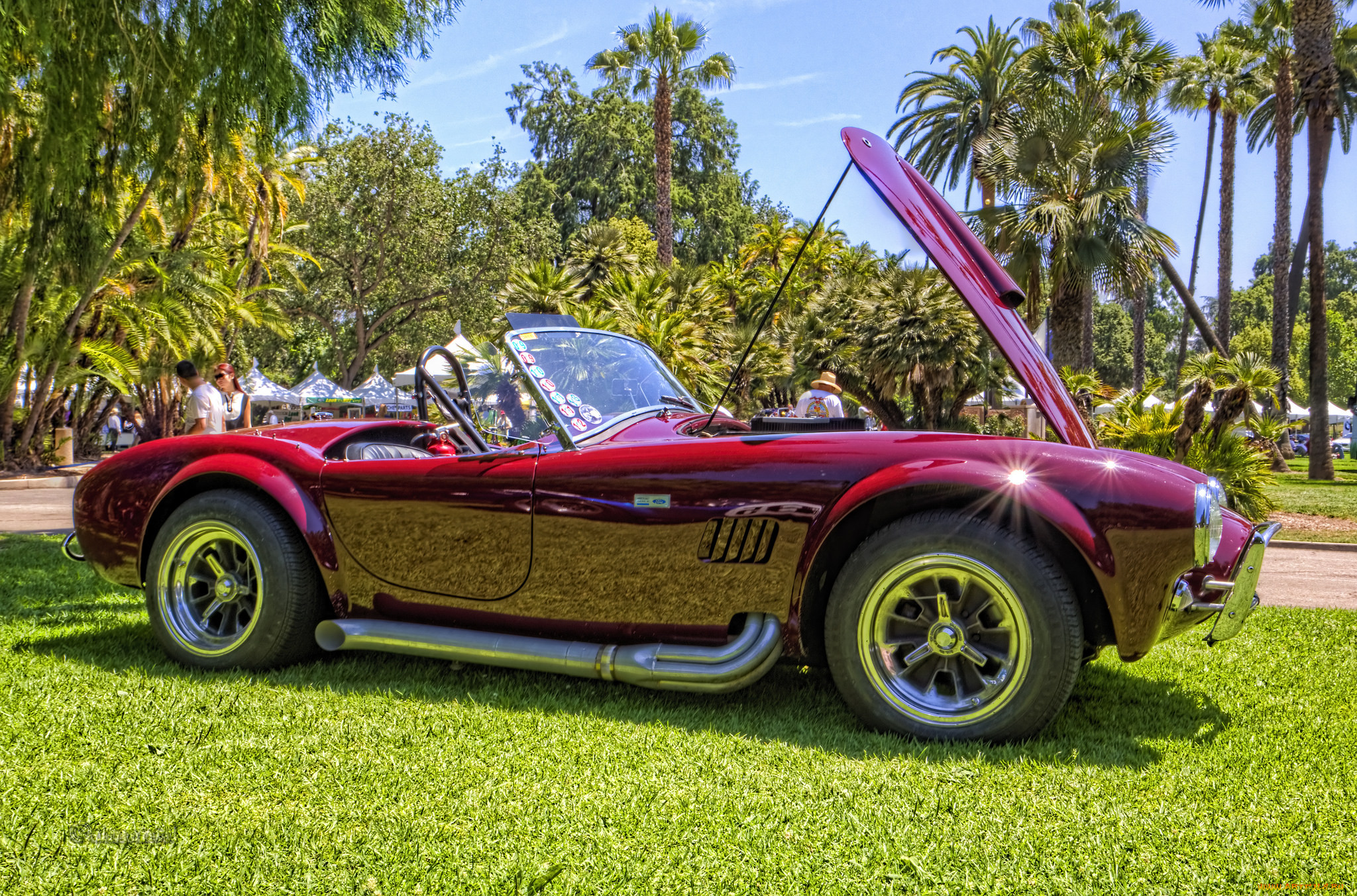 1964 shelby cobra 289 roadster, ,    , , 